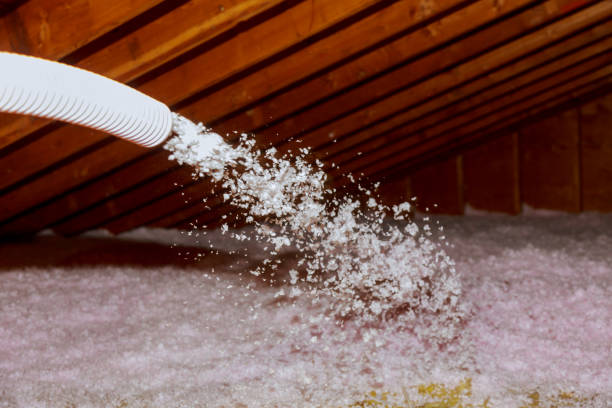 Best Local Insulation Services  in New Ellenton, SC