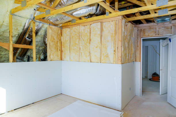 Best Professional Insulation Contractor  in New Ellenton, SC