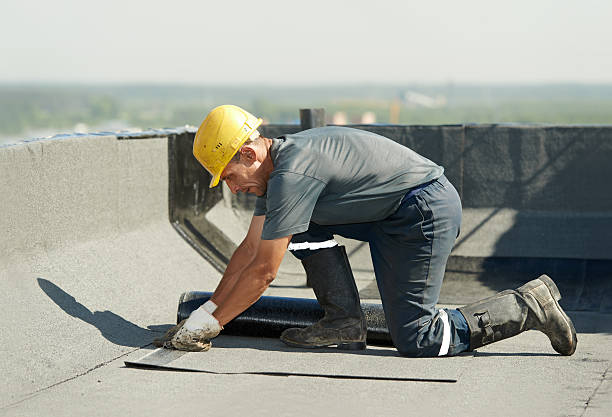 Best Insulation Repair Services  in New Ellenton, SC