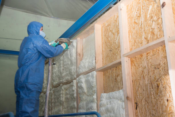 Attic Insulation Near Me in New Ellenton, SC