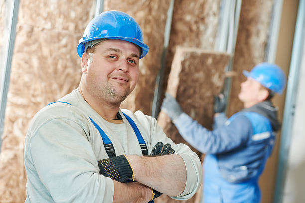 Best Affordable Insulation Services  in New Ellenton, SC