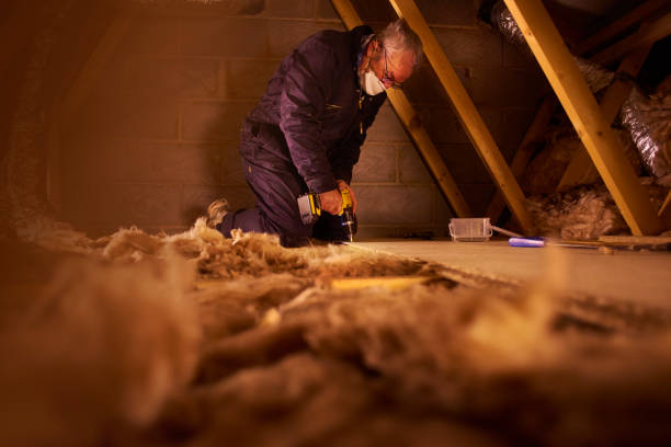 Best Cellulose Insulation  in New Ellenton, SC