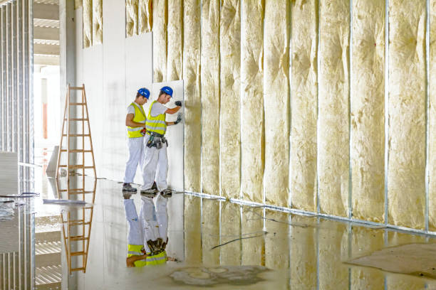 Professional Insulation Contractor in New Ellenton, SC